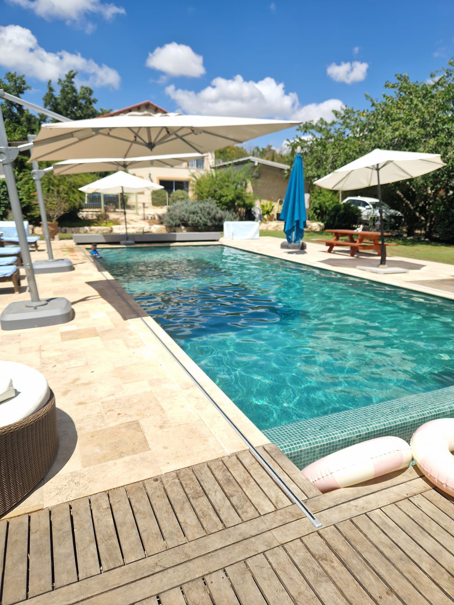 WhatsApp Image 2026-02-08 at 13.42.23(1)