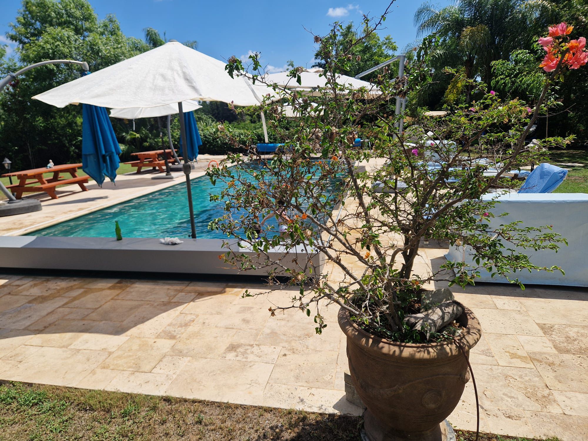 WhatsApp Image 2026-02-08 at 13.42.23(3)