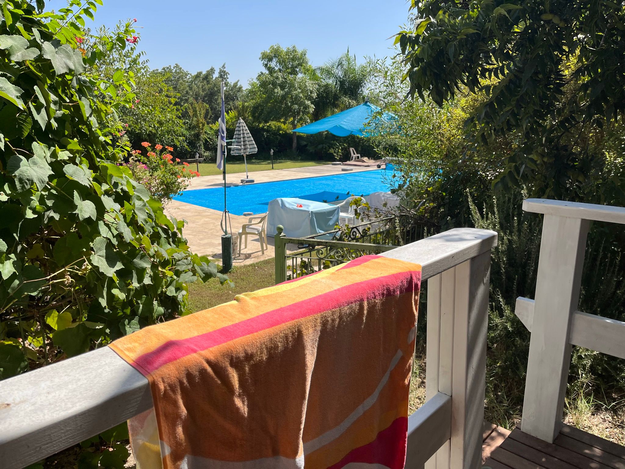 WhatsApp Image 2026-02-08 at 13.51.33