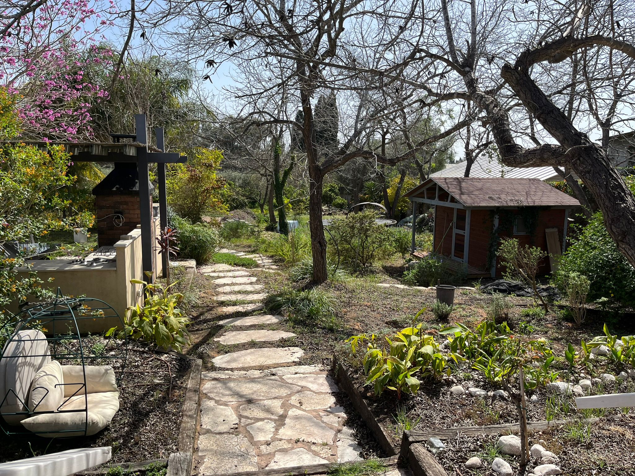 WhatsApp Image 2026-02-08 at 13.51.33(5)