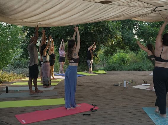 WhatsApp Image 2026-02-08 at 13.54.24