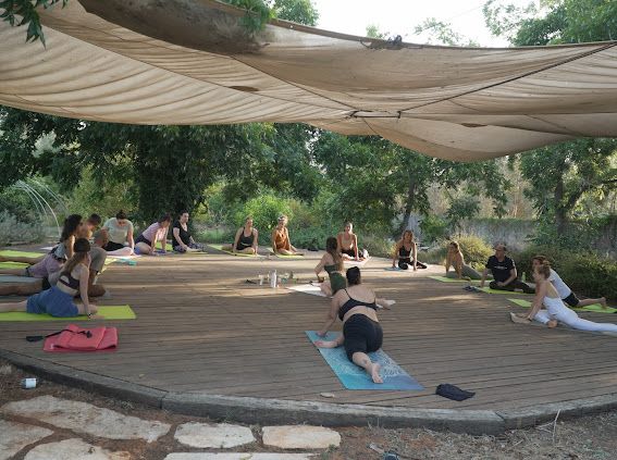 WhatsApp Image 2026-02-08 at 13.54.24(1)