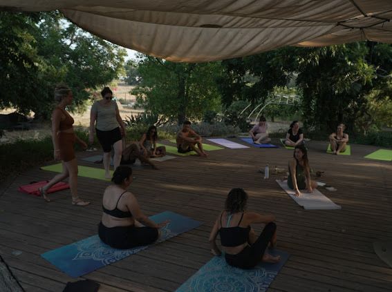 WhatsApp Image 2026-02-08 at 13.54.24(2)