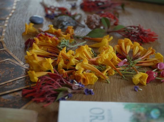 WhatsApp Image 2026-02-08 at 13.54.25(2)