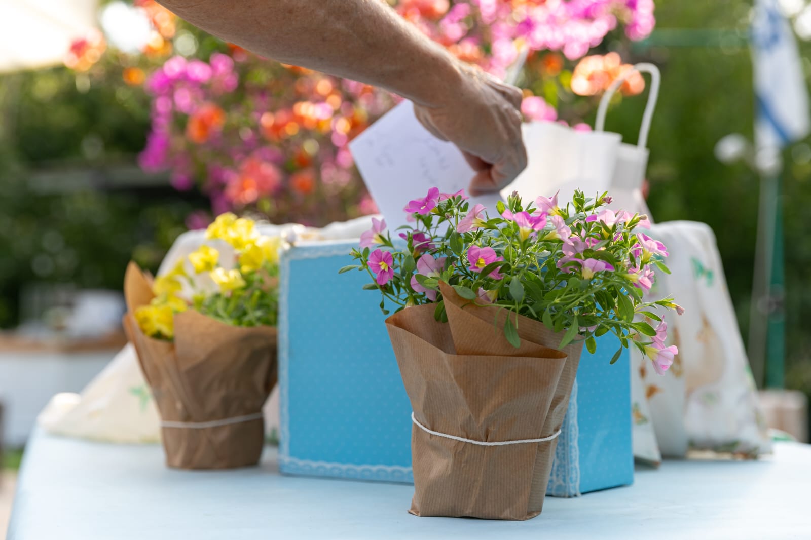 WhatsApp Image 2026-02-08 at 14.00.13(2)