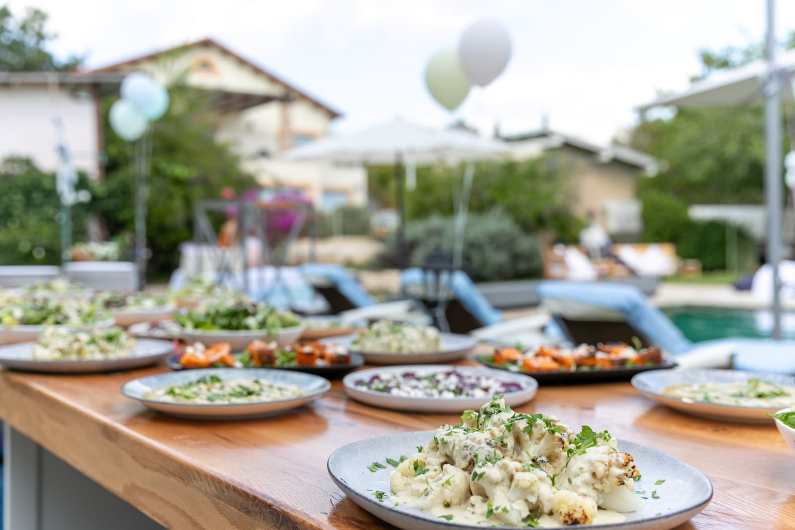 WhatsApp Image 2026-02-08 at 14.00.13(4)