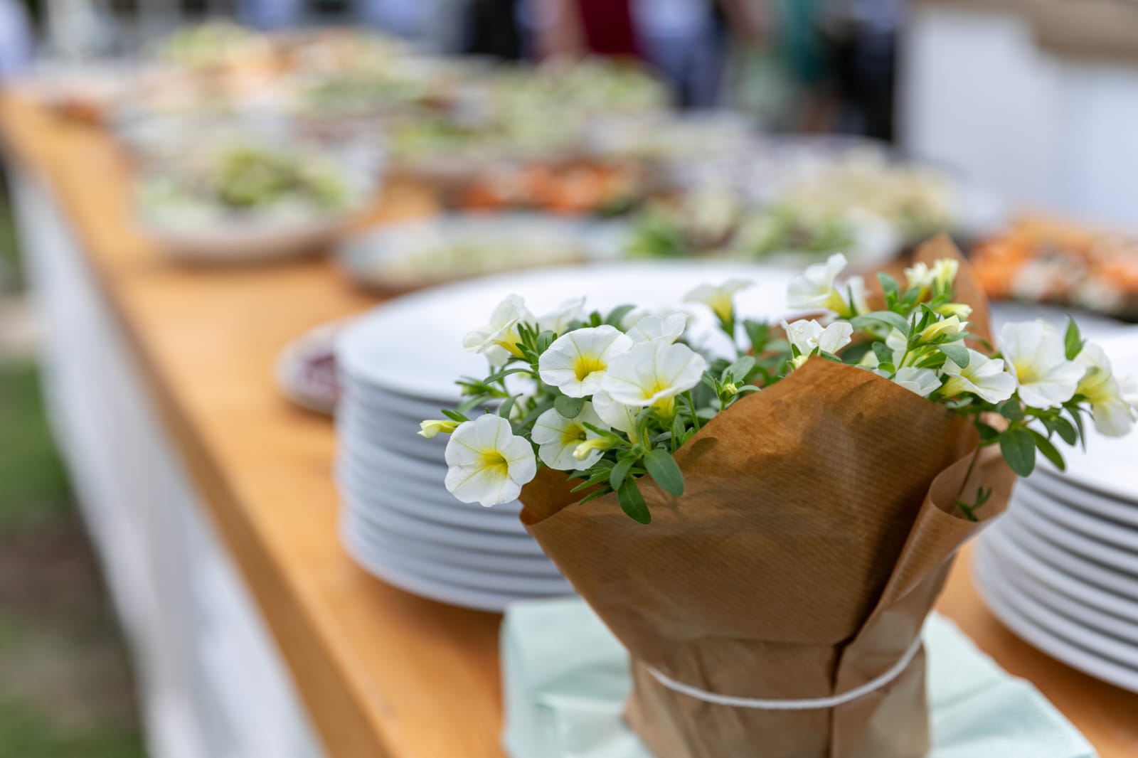 WhatsApp Image 2026-02-08 at 14.00.14